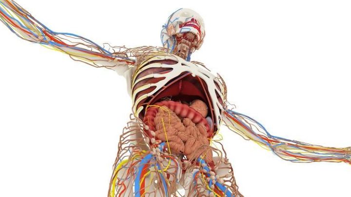 El conocimiento del Ser – Tattva Bodha (versos 17, 18 y 18 bis) El conocimiento del Ser – Tattva Bodha (versos 17, 18 y 18 bis)