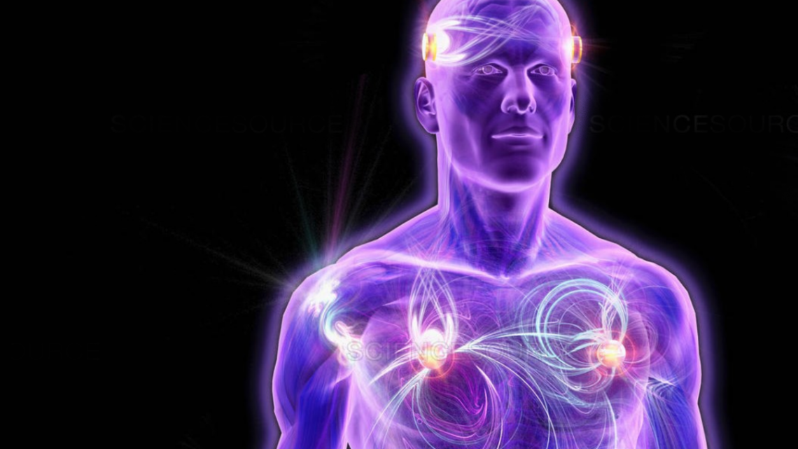 El conocimiento del Ser – Tattva Bodha (verso 44)