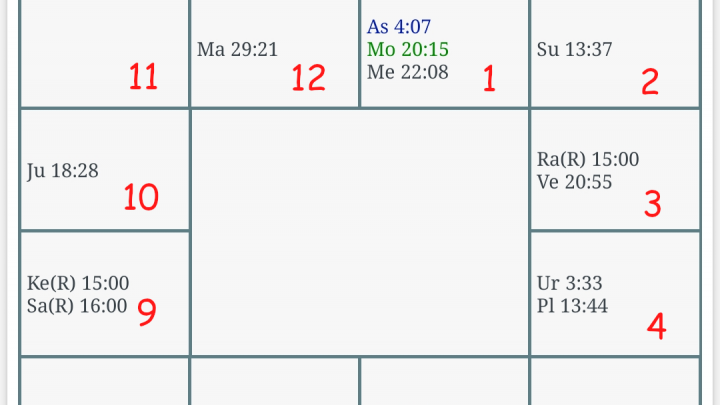 Jyotish: conceptos básicos (5): tipos de cartas natales. Las casas.