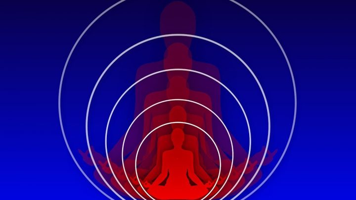 El conocimiento del Ser – Atma Bodha (versos 10, 11, 12, 13 y 14). El conocimiento del Ser – Atma Bodha (versos 10, 11, 12, 13 y 14).