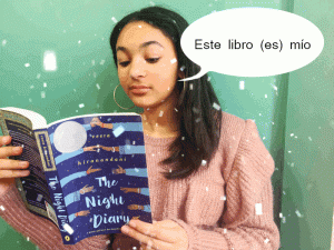 Pronombres demostrativos y posesivos