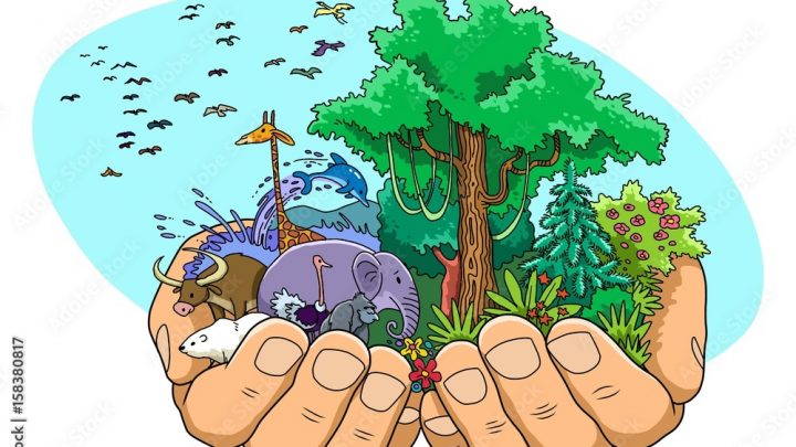 Drig-Drishya-Viveka (verso 18) Ocultación de la Creación