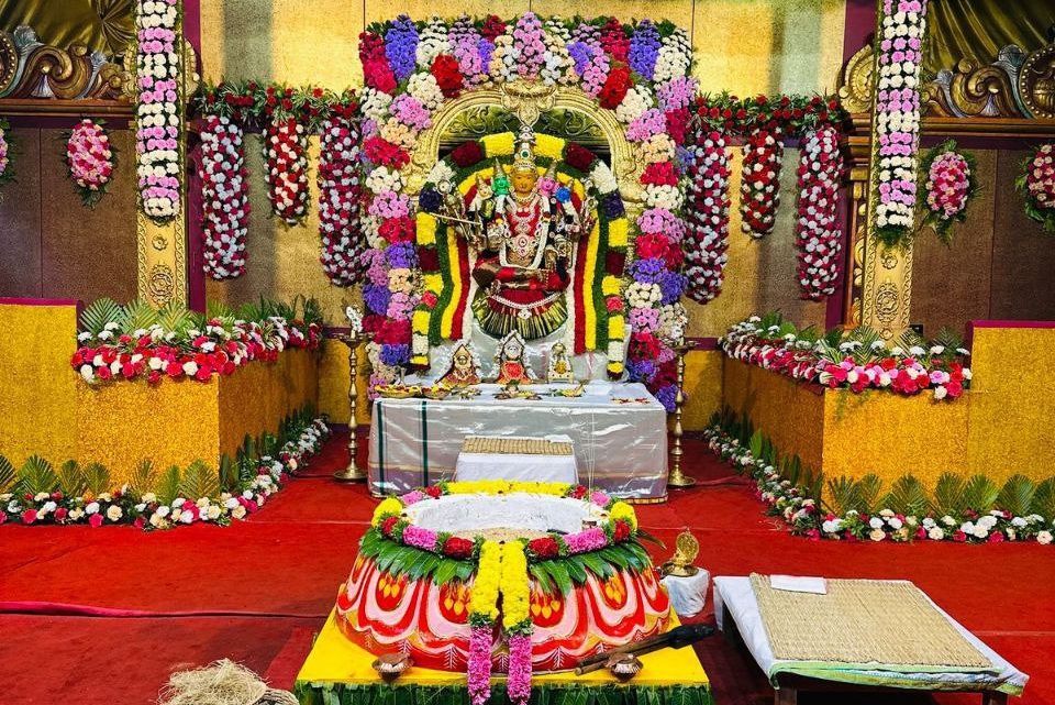 Estructura de las homas Estructura de las homas